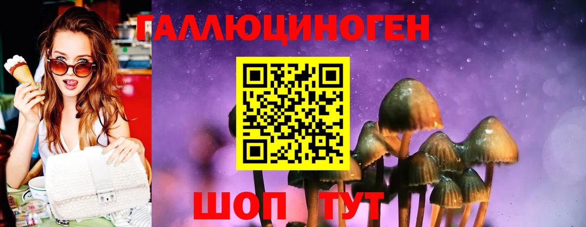 Псилоцибиновые грибы GOLDEN TEACHER  Вход с VPN  Самара 